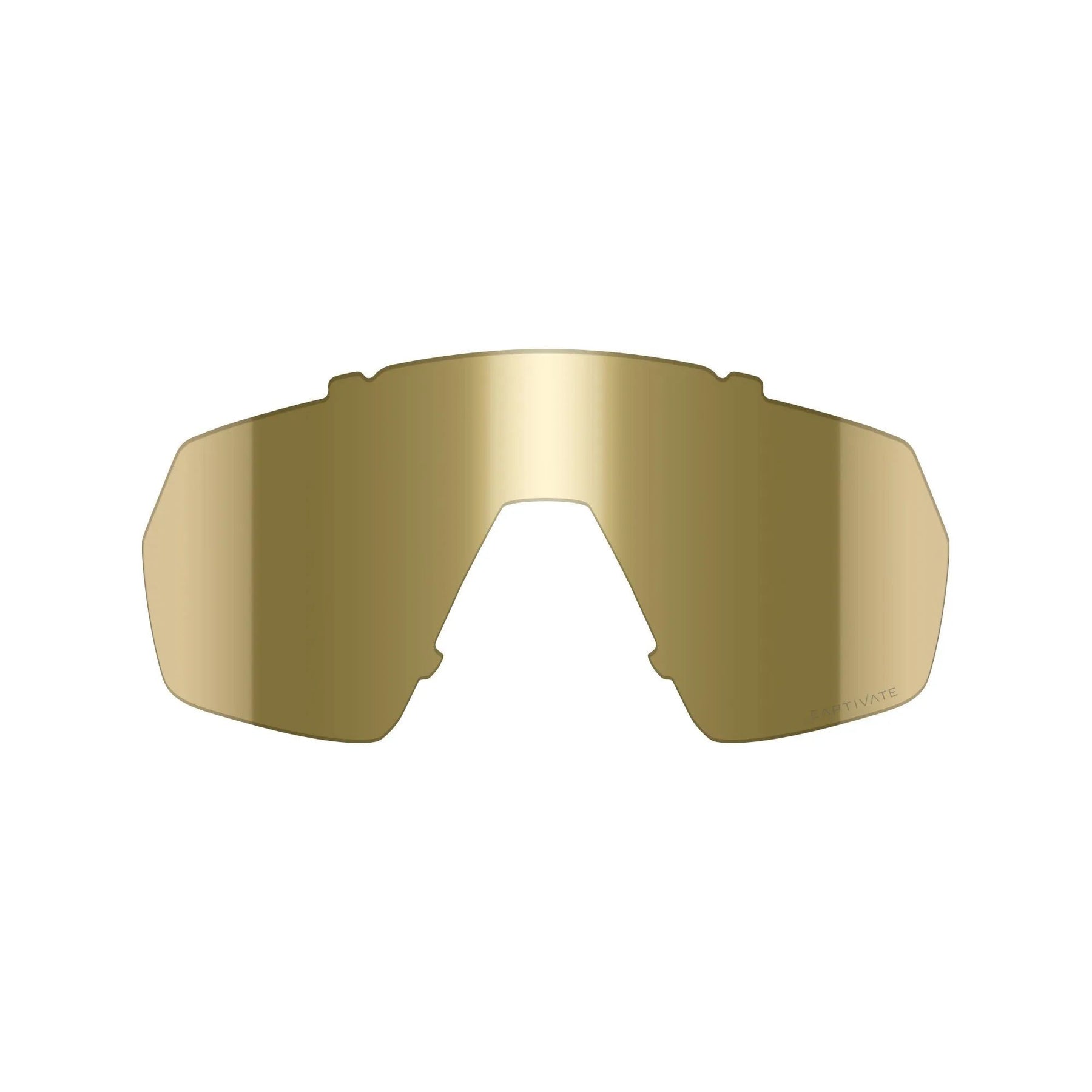 WILEYX | WX CITADEL REPLACEMENT LENS CAPTIVATE GOLD MIRROR - Lente di ricambio - BackPacco - BP-WILEYX-CHCTDCGLDM