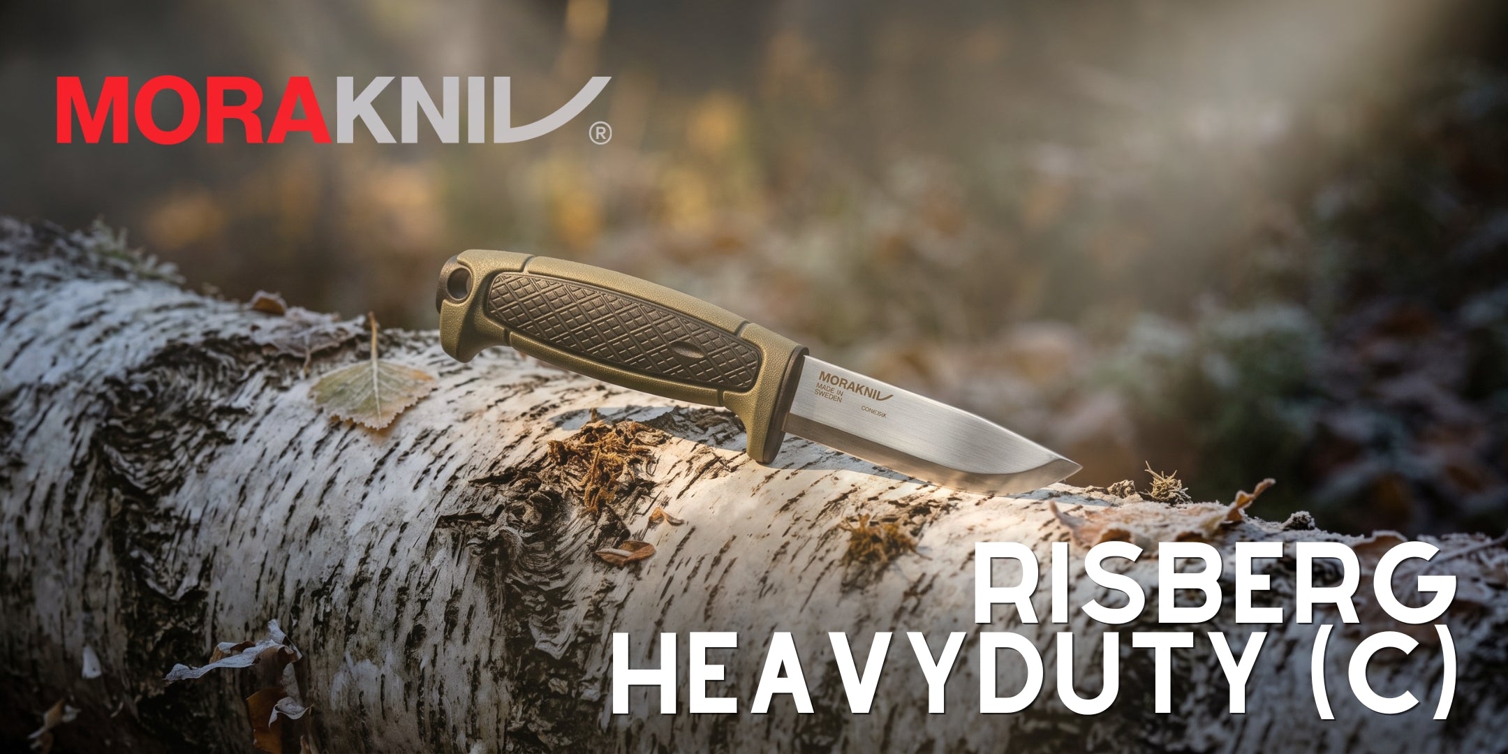 Morakniv Risberg HeavyDuty (C) coltello a lama fissa appoggiato su un tronco di betulla in ambiente boschivo disponibile su Backpacco.it