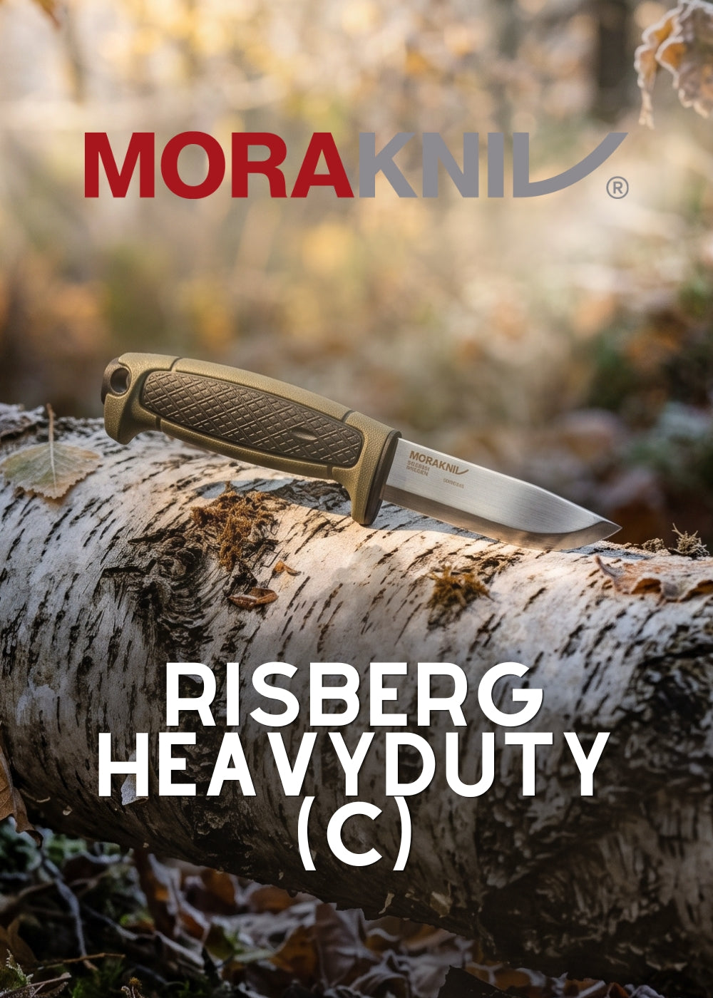 Morakniv Risberg HeavyDuty (C) coltello a lama fissa appoggiato su un tronco di betulla in ambiente boschivo disponibile su Backpacco.it