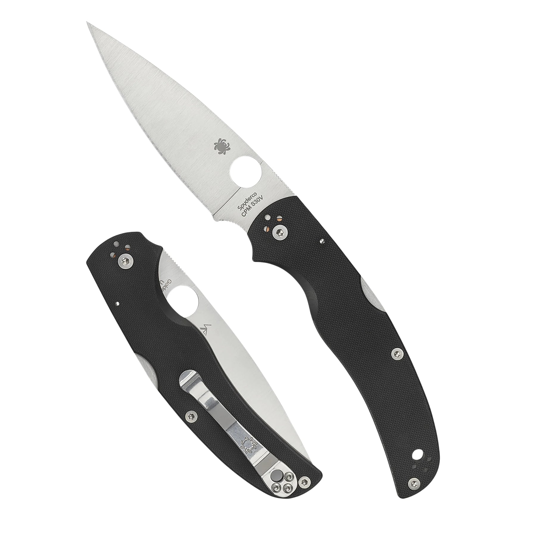 Spyderco Native 5 G-10 coltello chiudibile compatto EDC con lama a filo piano, foro Spyderco Round Hole, blocco posteriore back lock e guancette in G-10 testurizzato con clip a quattro posizioni, ideale per porto quotidiano, escursionismo e collezionismo.