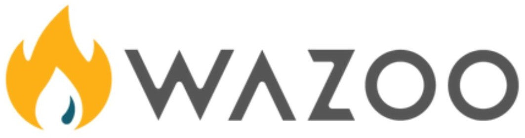 logo wazoo