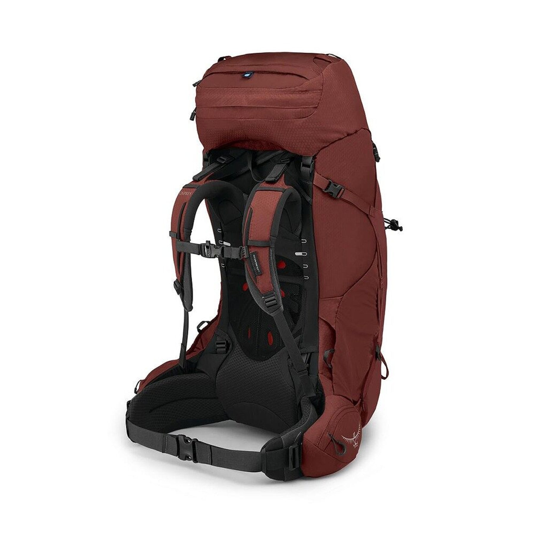 Osprey Aether 65 zaino da trekking ed escursionismo uomo da 65 litri con schienale AirScape regolabile, cinghie di compressione, tasche frontali e attacchi per bastoncini vista laterale per outdoor su Backpacco