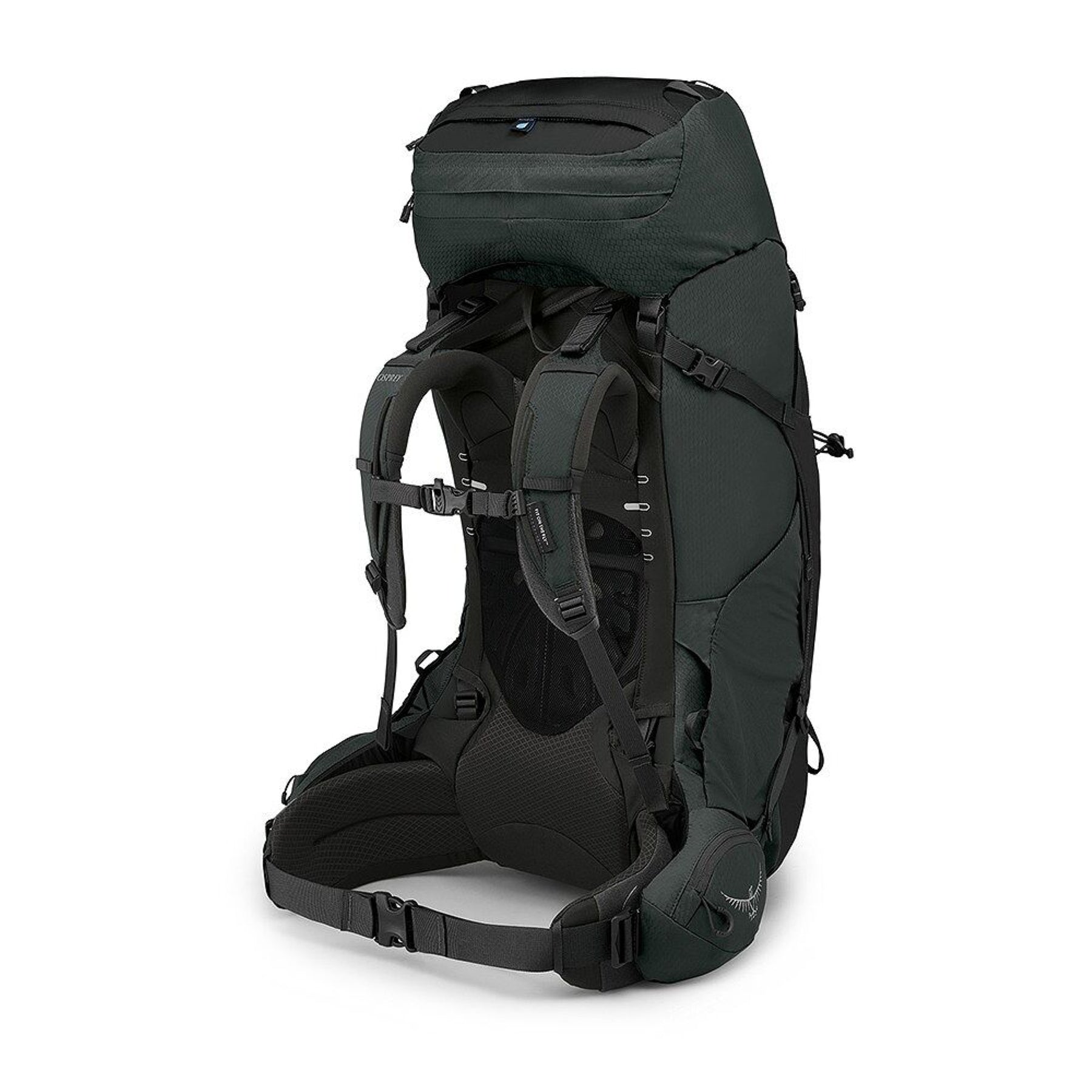 Osprey Aether 65 zaino da trekking ed escursionismo uomo da 65 litri con schienale AirScape regolabile, cinghie di compressione, tasche frontali e attacchi per bastoncini vista laterale per outdoor su Backpacco