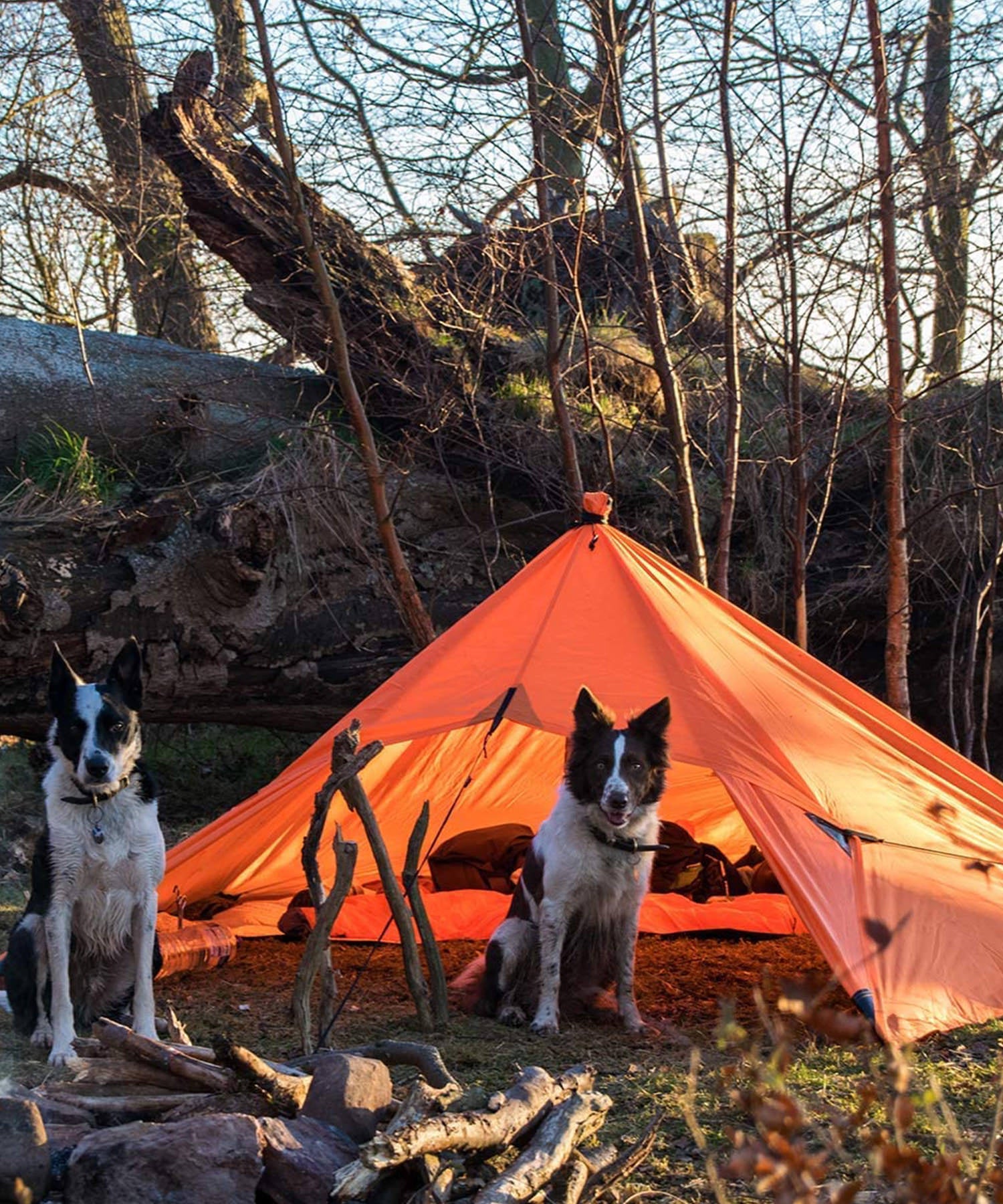dd tarp 3x3 orange sunset settato a tenda in uscita con i cani
