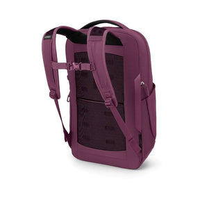 Osprey Ozone Laptop Backpack: Zaino da viaggio e business da 18 litri ultraleggero. Progettato con scomparto imbottito per laptop fino a 16 pollici e organizzazione interna intelligente. Realizzato in nylon riciclato ad alta tenacità con schienale AirScape per il massimo comfort.