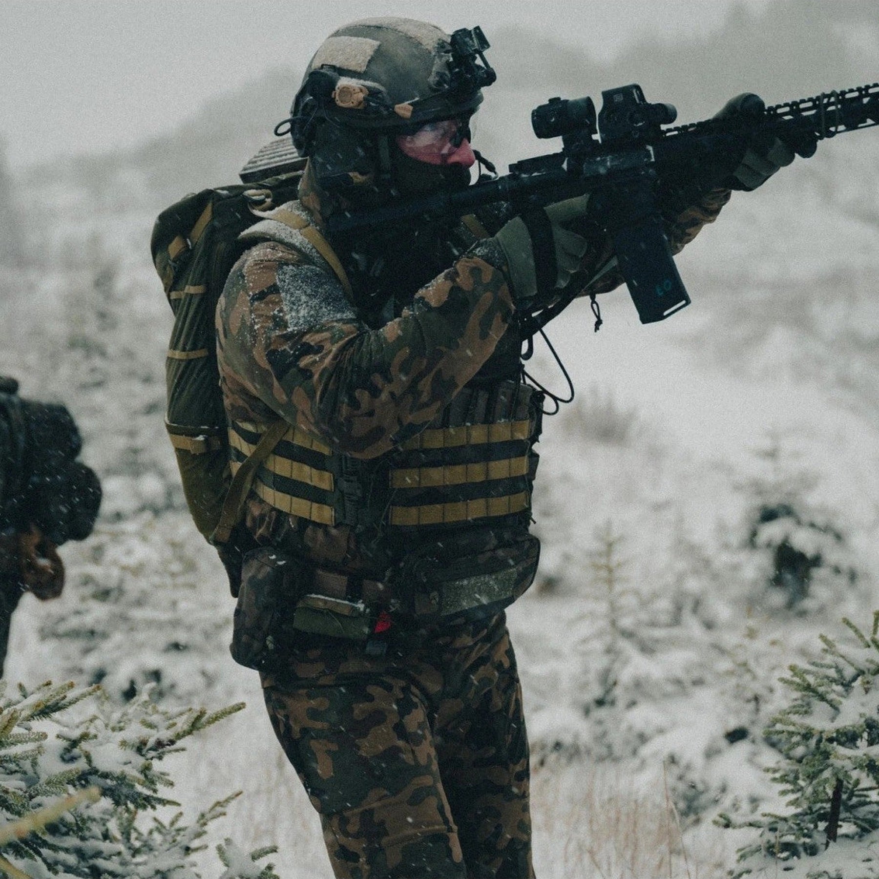 Gilet tattico Helikon-Tex Guardian Plate Carrier in Cordura 500D porta piastre balistiche, con pannellatura MOLLE/PALS, maniglia di evacuazione e pannelli velcro, pannellatura MOLLE in uso